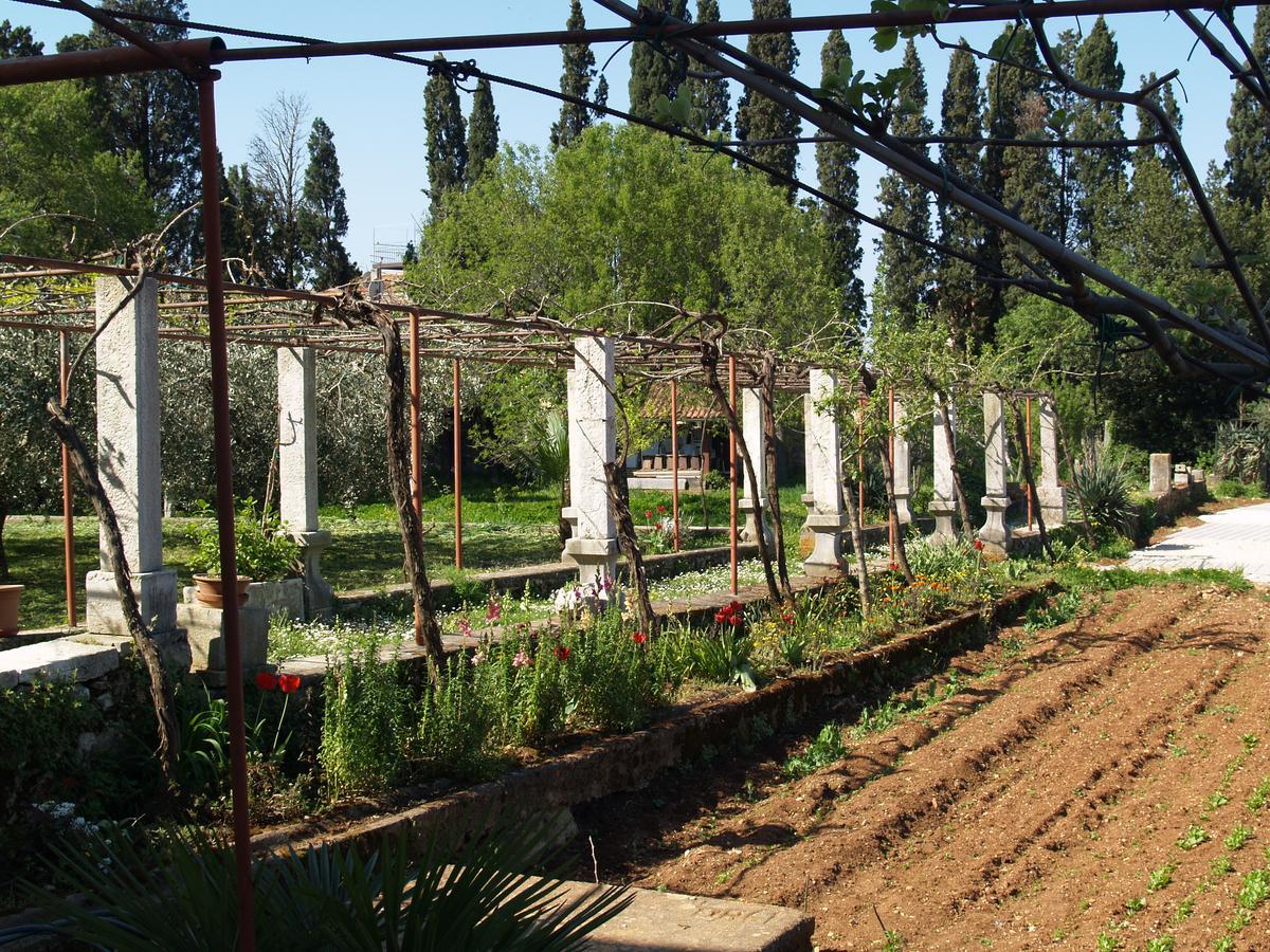 רוביני Villa Castrum מראה חיצוני תמונה