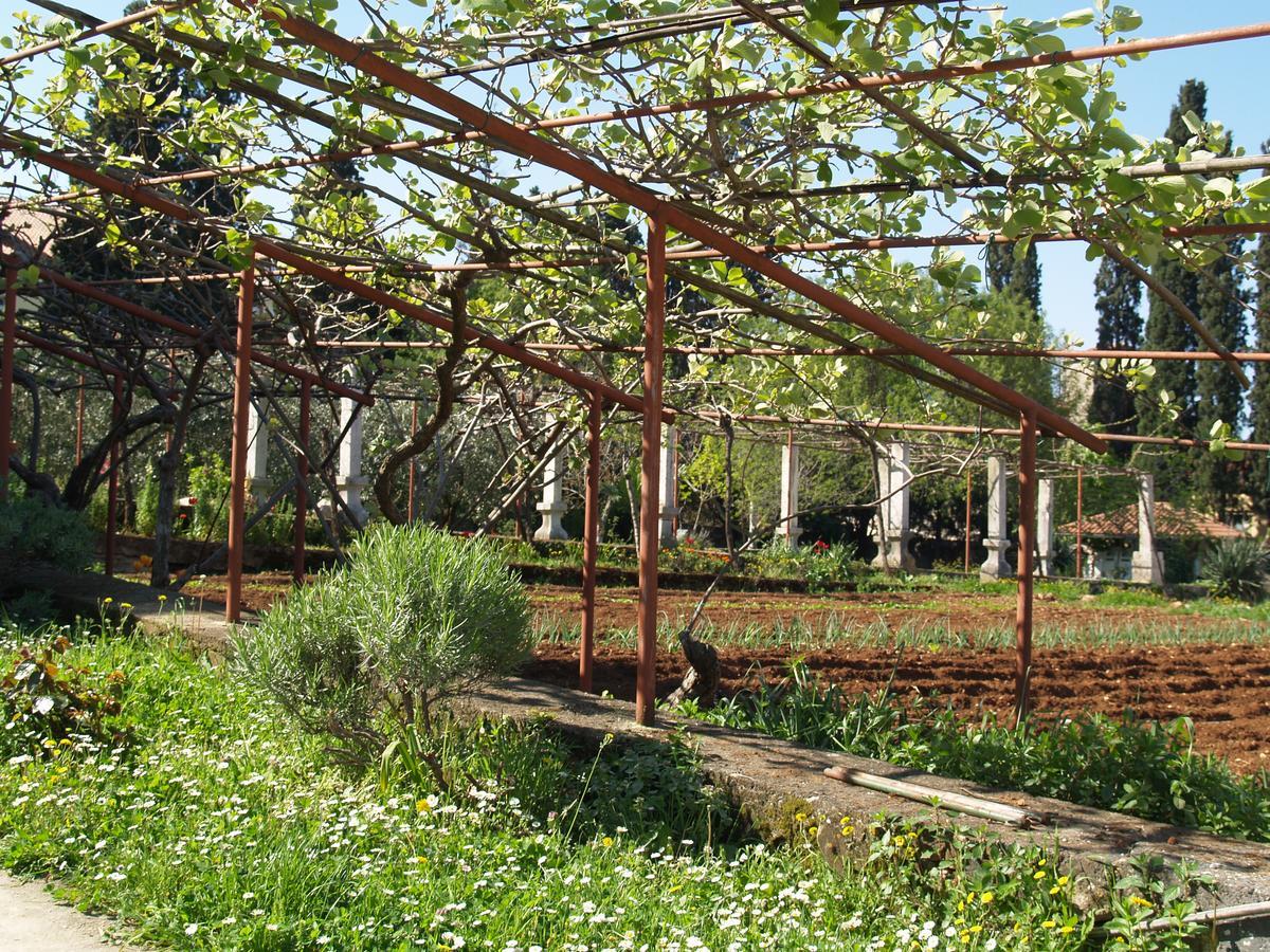 רוביני Villa Castrum מראה חיצוני תמונה
